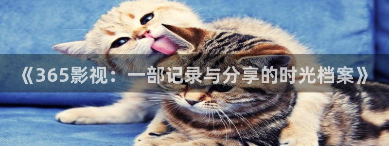 红叶影视：《365影视：一部记录与分享的时光档案》