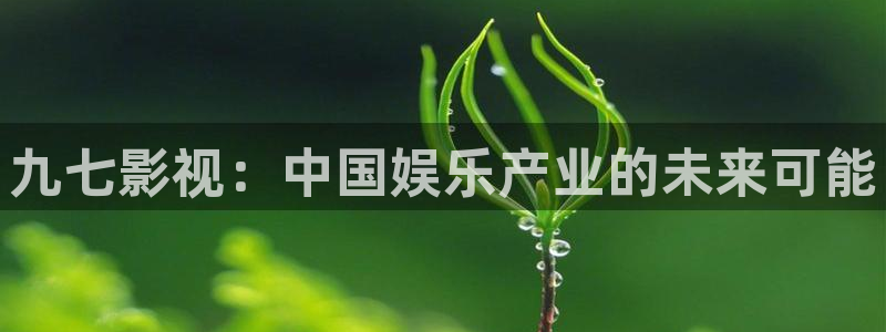 红叶影院下载：九七影视：中国娱乐产业的未来可能