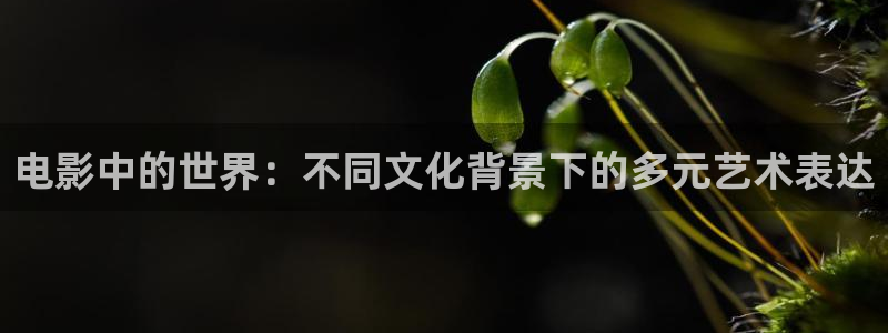 六安红叶影城今日电影：电影中的世界：不同文化背景下的多元艺术表达