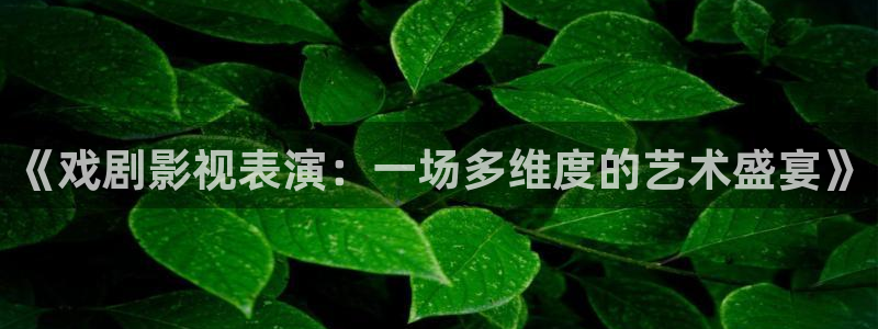 西安红叶影城：《戏剧影视表演：一场多维度的艺术盛宴》