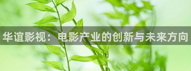 西安红叶影城：华谊影视：电影产业的创新与未来方向