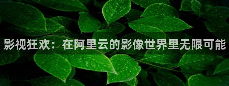 六安红叶影城电影：影视狂欢：在阿里云的影像世界里无限可能