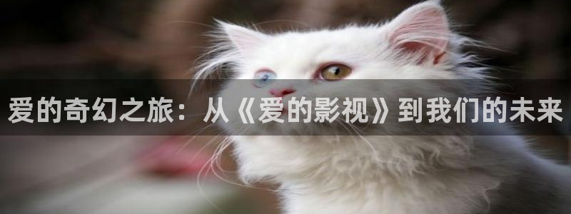 红叶影视完整版：爱的奇幻之旅：从《爱的影视》到我们的未来
