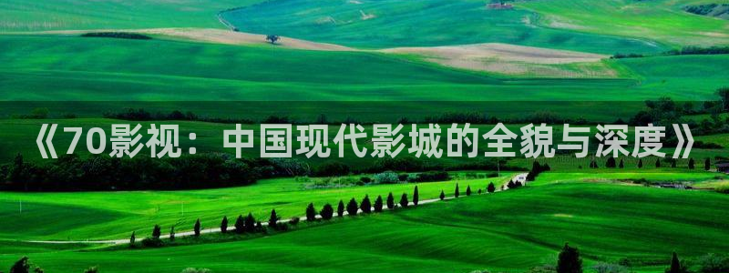 电影红叶：《70影视：中国现代影城的全貌与深度》