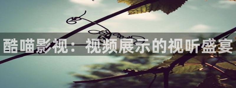 六安红叶电影院今日影讯：酷喵影视：视频展示的视听盛宴