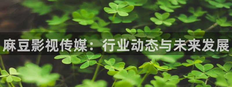 红叶影院app：麻豆影视传媒：行业动态与未来发展