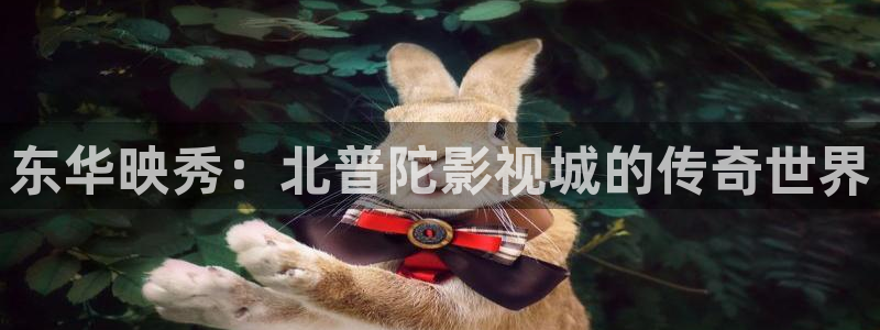 红叶影城电影：东华映秀：北普陀影视城的传奇世界