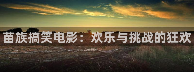 红叶影城电影：苗族搞笑电影：欢乐与挑战的狂欢
