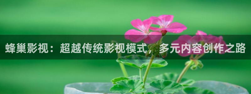 红叶影城今日影讯：蜂巢影视：超越传统影视模式，多元内容创作之路