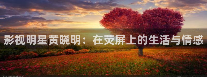 六安红叶影城今日影讯：影视明星黄晓明：在荧屏上的生活与情感