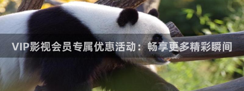六安红叶影城今日影讯：VIP影视会员专属优惠活动：畅享更多精彩瞬间