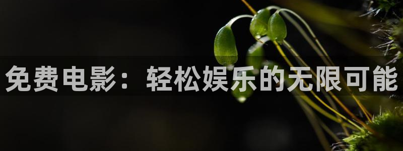 电影红叶：免费电影：轻松娱乐的无限可能