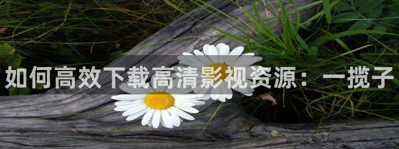 红叶影视官网：如何高效下载高清影视资源：一揽子